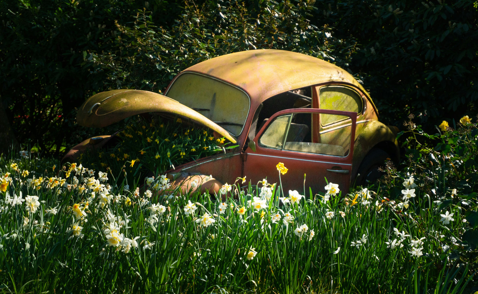 Voiture